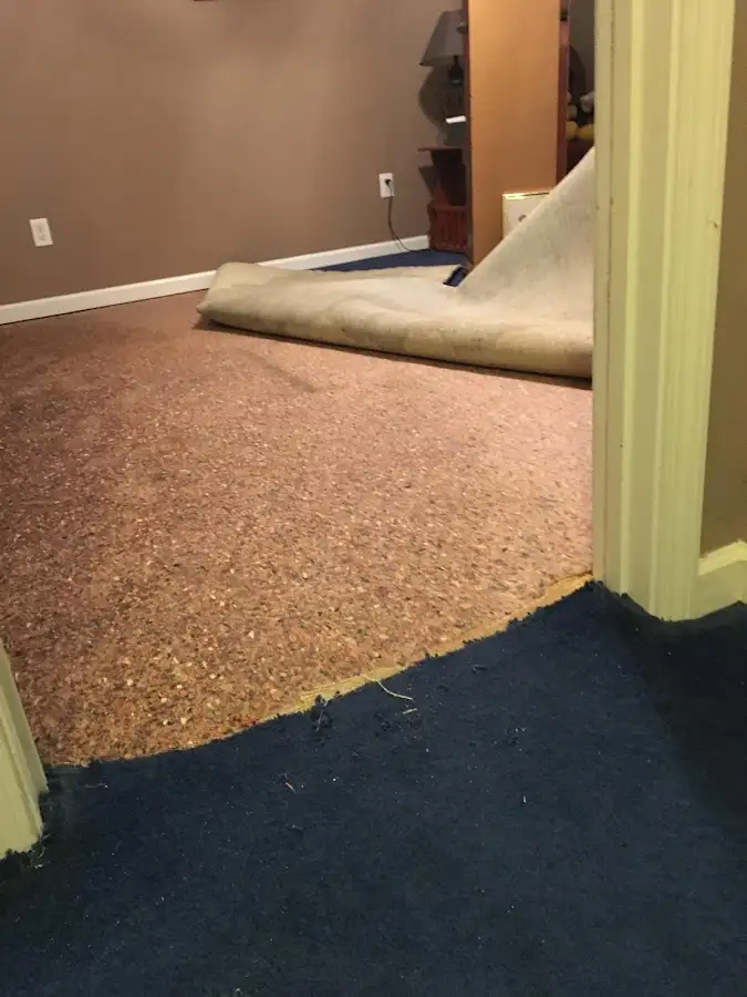 Carpet pad removal revealing water damage during Drying & Dehumidification in Middlebury